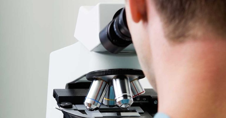 Encouraging research  – a SAMSoc summary