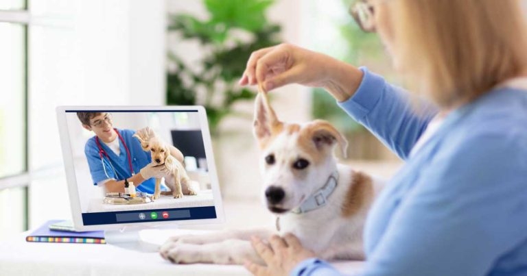 Advances in diagnostics, imaging and telemedicine