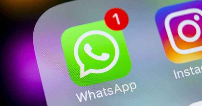 VetHelpDirect launches WhatsApp service to connect owners with vets