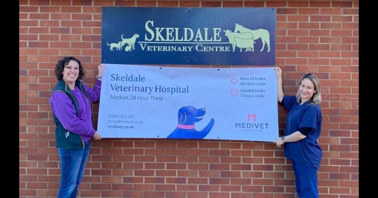 Hospital status for Skeldale caps great 2021