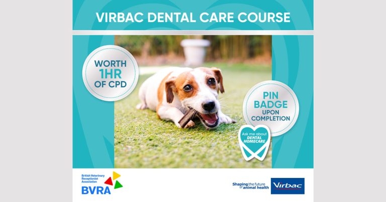 Virbac supports veterinary receptionists with dental care course