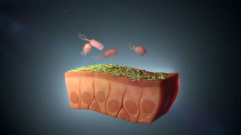 Early enteral nutrition: best practice in post-operative feeding