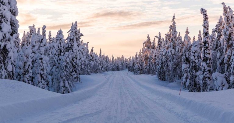 Vets take on Arctic Ultra in bid to raise funds for wild rhino protection programme