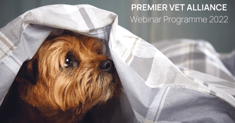 Vet group rolls out 2022 webinar programme