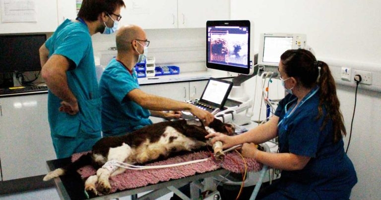 Fitzpatrick Referrals confirms high success rate for breakthrough cancer treatment