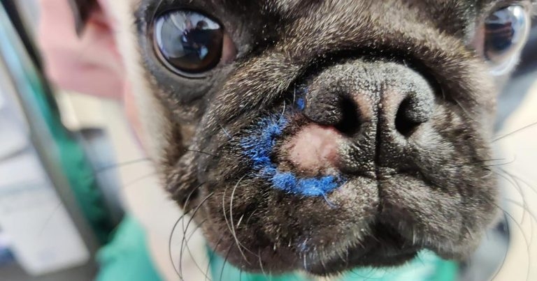 Tumour margins – quantity vs quality