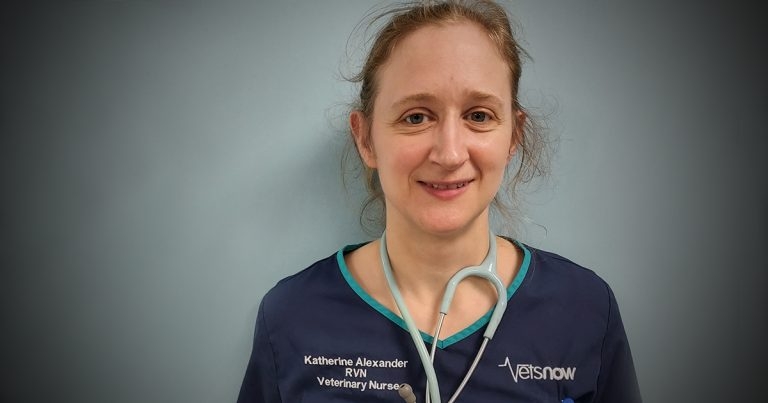 Globetrotting RVN takes to the streets