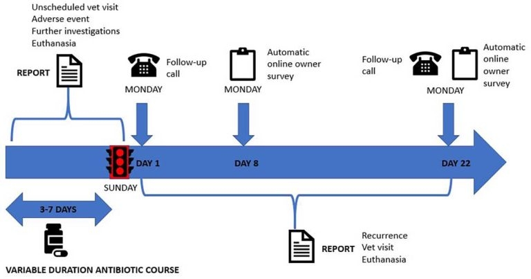 Antibiotic course duration – how long is too long?