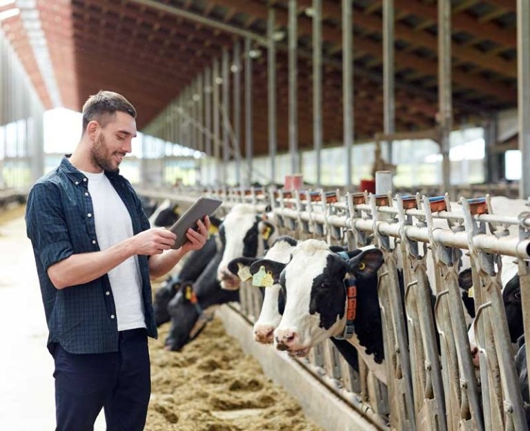 SMART goals tool aims to improve antimicrobial use