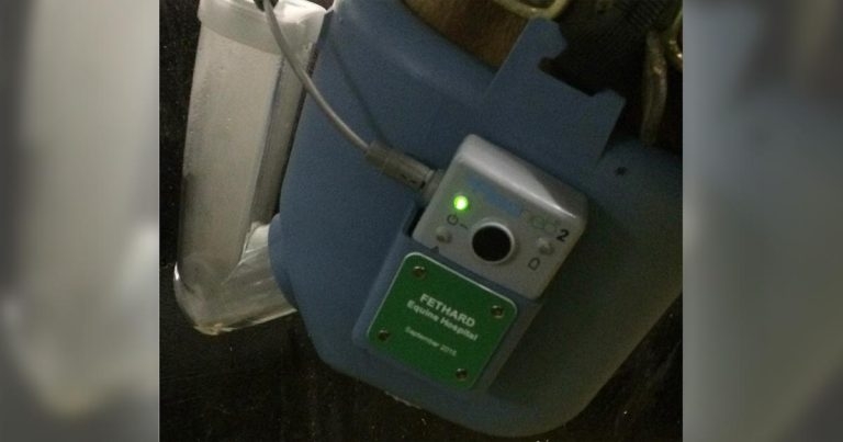 Equine asthma – management, treatment and diagnosis advances