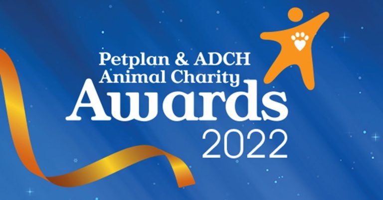 Finalists for Petplan Awards 2022 revealed