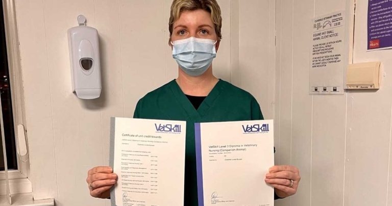 VetSkill announces first student to complete VN diploma