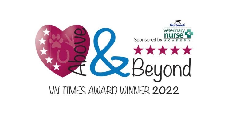 Above and Beyond Awards 2022 winners