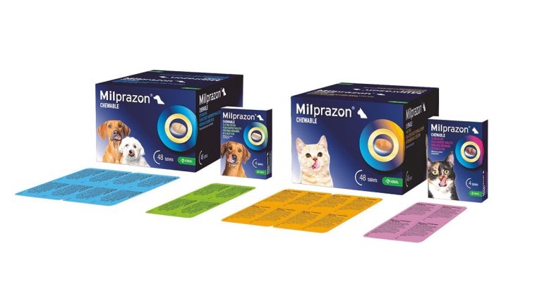 Krka launches chewable dog and cat wormer