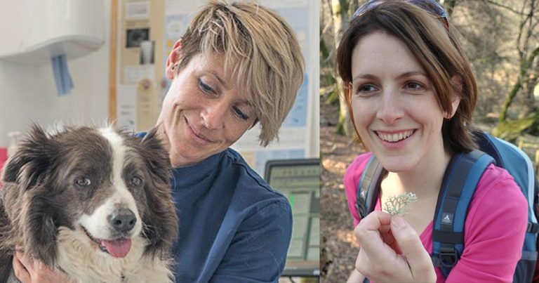 Vet Times Extra: management of canine OA