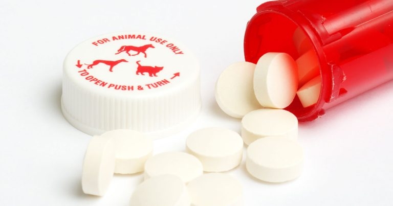 New VMR amendments welcomed by NOAH