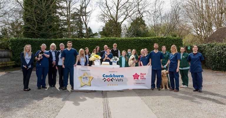 Practices celebrate success in BestUKVet Awards 2022