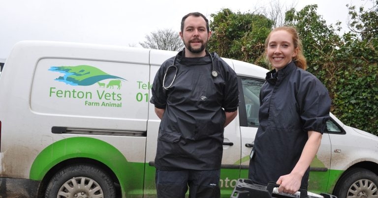 Vet-led workshop aims to improve farmers’ lamb performance