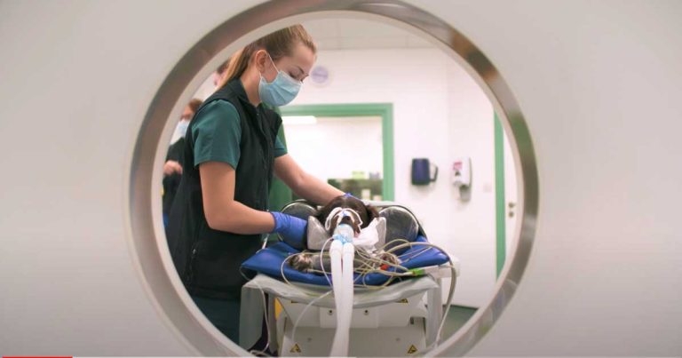 Davies marks VNAM with inspirational video