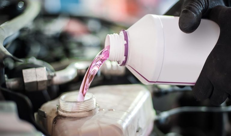 Ethylene glycol – a common toxicity in cats