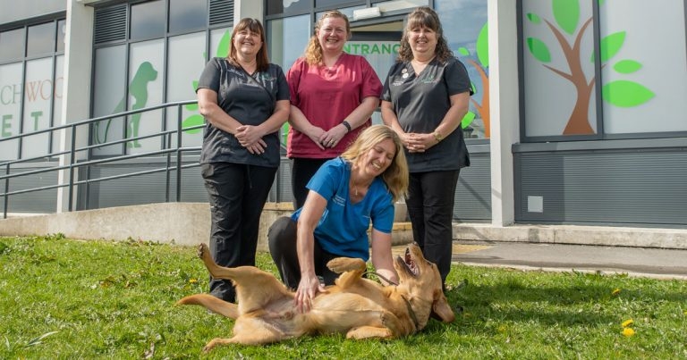 New £1.4m vet practice set to open doors