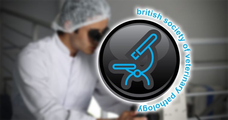 Farm animal respiratory pathology the theme for June conference