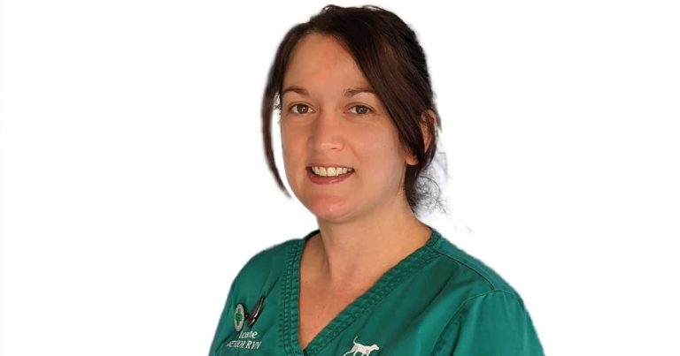 Eye on EBVM: how EBVM training will change your life