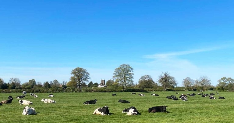 Vaccination and preventive health: how to convey messages to farmers