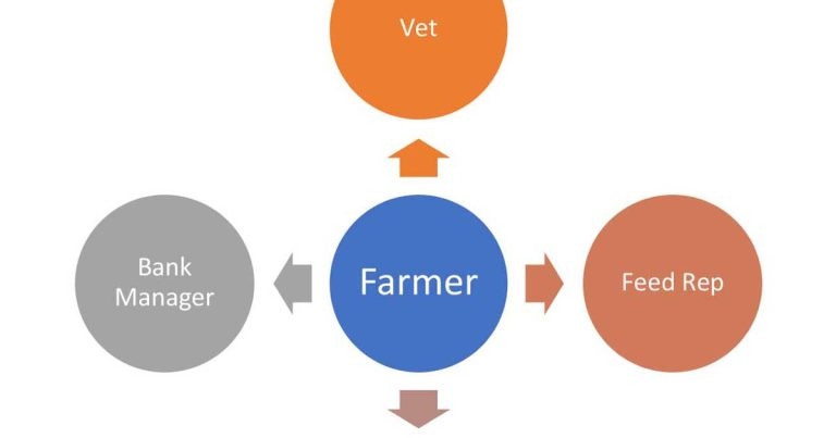 Farm management teams: their role and part vets can and should play