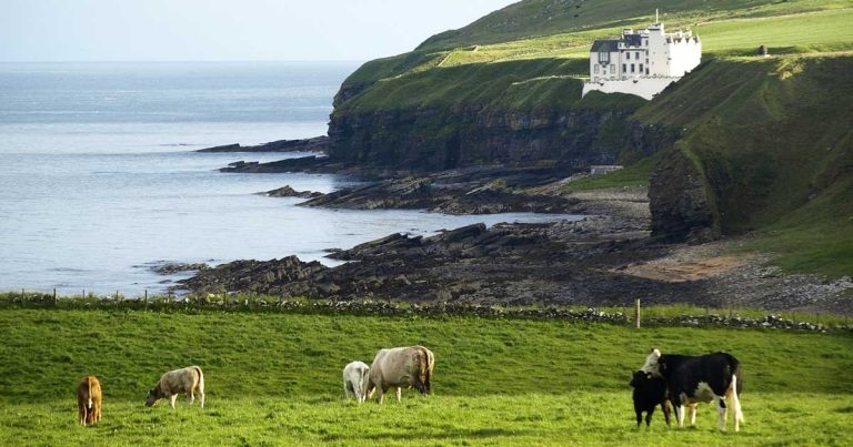 Eradicating BVD: where are we now and where are we heading?