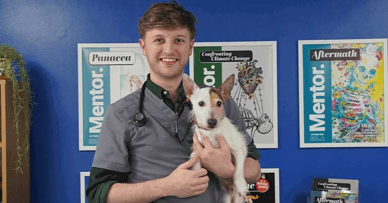 Search for BVA Young Vet of the Year begins