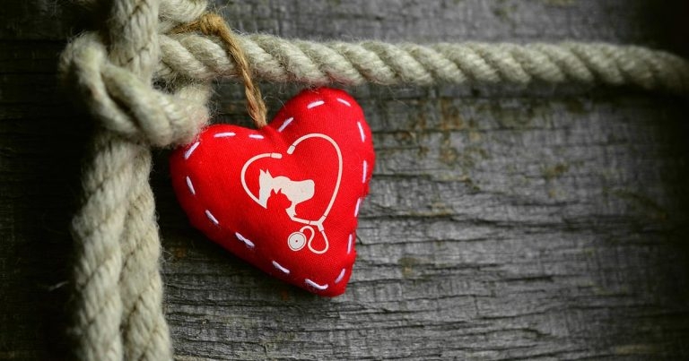 SPVS CPD to empower future practice bosses