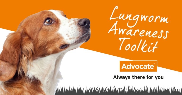 To help vet practices educate pet owners, Elanco, the maker of Advocate, is launching a new Lungworm Awareness Toolkit
