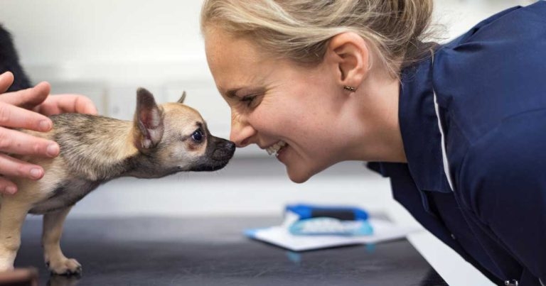 Blue Cross VN of the Year nominations open