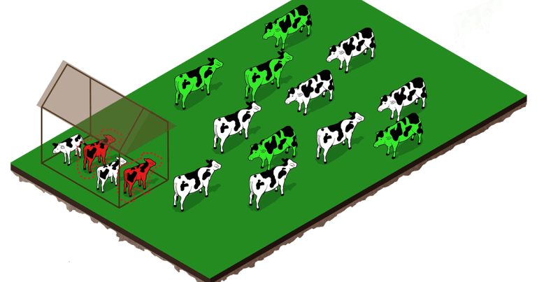 Telling the story behind a BVD breakdown