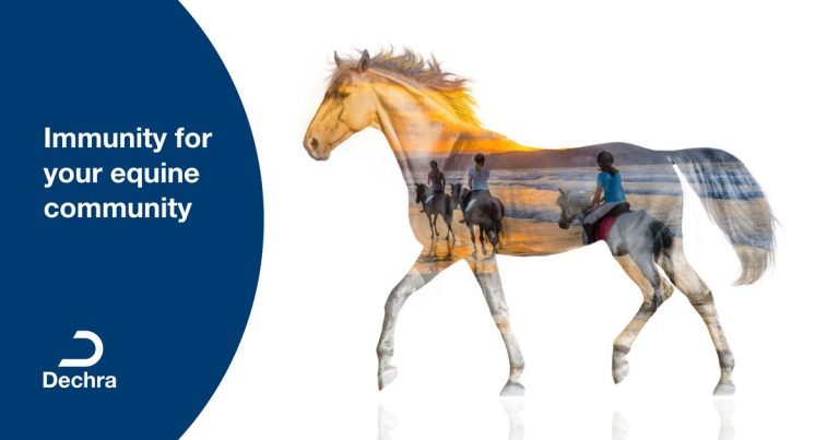 Dechra launches ground-breaking strangles vaccine, Strangvac®