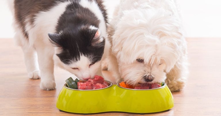 Webinar to cover raw food risks and benefits