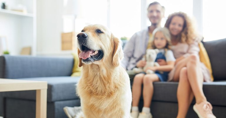 Renters’ reform proposals widely welcomed