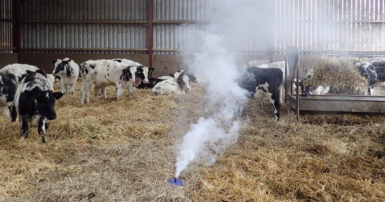 Bovine respiratory disease – re-engaging an old challenge