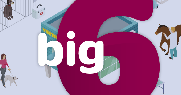 Big 6 2022: operational opportunities