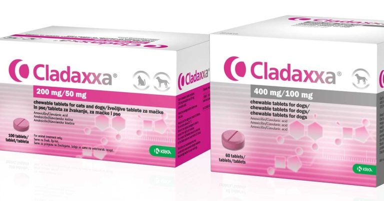 Krka launches new first line antibiotic