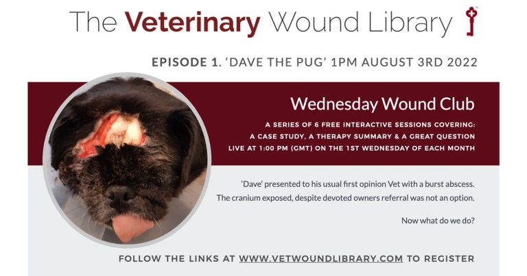 Lunchtime Wednesday wounds webinar series to launch