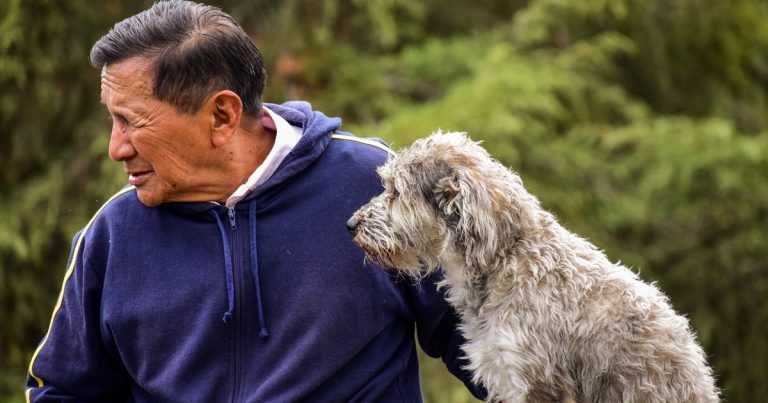 Challenges of no pets accommodation