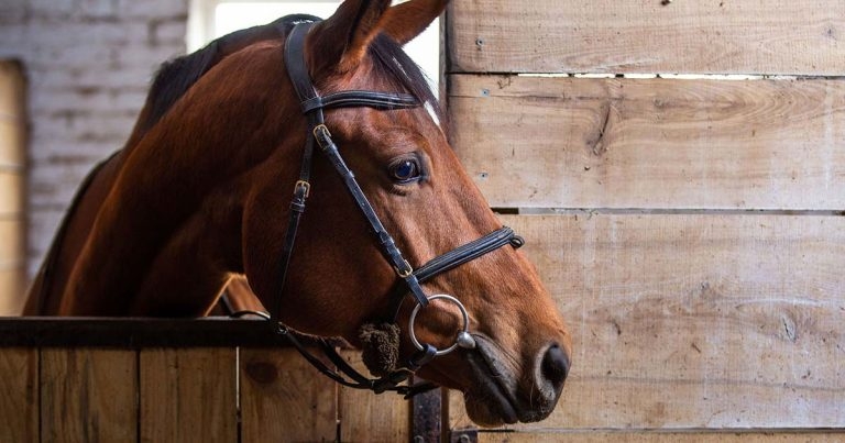 Anaesthesia, analgesia and sedation: right option at right time