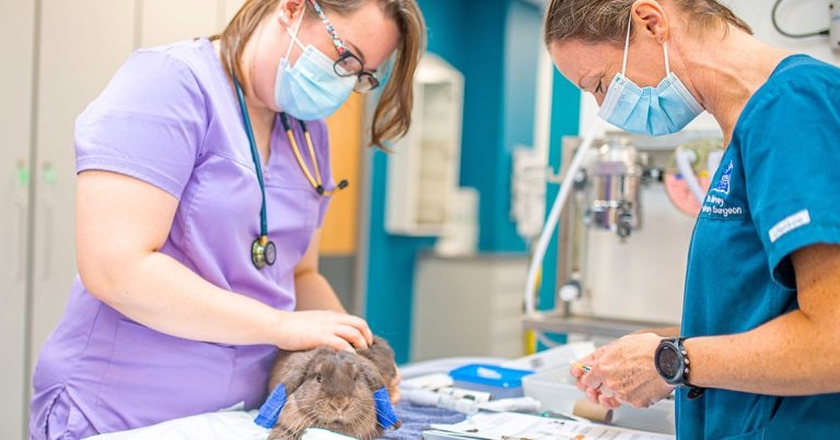 CVS reports strong growth in trading update