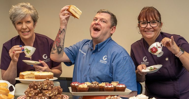 VetPartners launches £120,000 charity fund