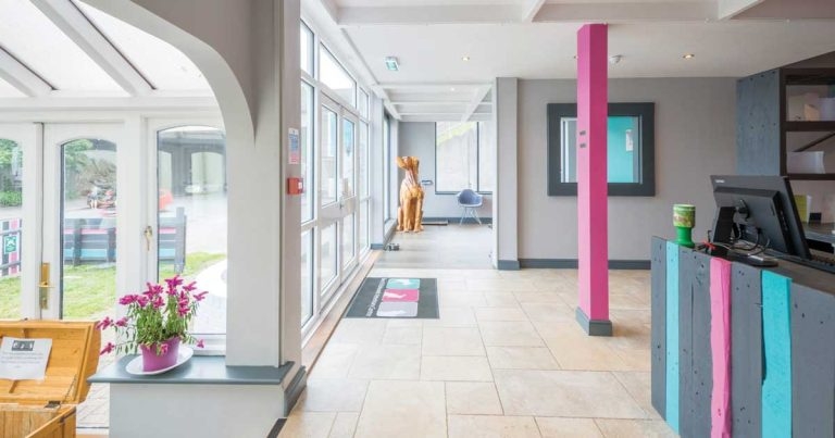 Practice Profile: Bury St Edmunds Veterinary Centre