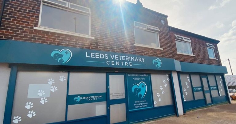 Dream becomes reality for founders of new Leeds practice