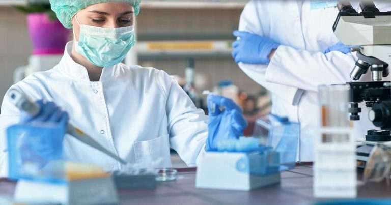 New animal test reduction plan unveiled