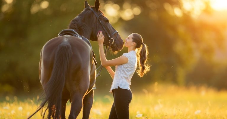 Welfare fears as survey reveals equine cost rises